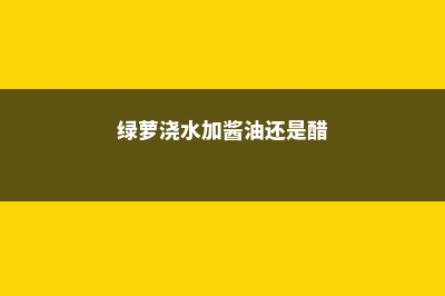 绿萝浇水可以加大豆油吗，可以放白醋吗 (绿萝浇水加酱油还是醋)