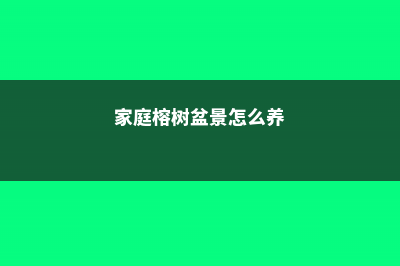 榕树盆景怎么养，榕树盆景图片 (家庭榕树盆景怎么养)