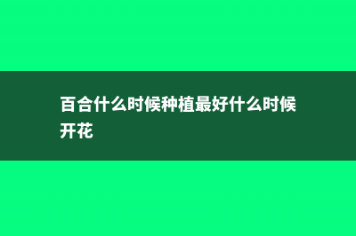 百合什么时候种，怎样栽种 (百合什么时候种植最好什么时候开花)