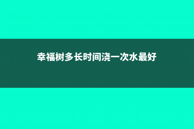 幸福树多久浇一次水，一个月浇一次水可以吗 (幸福树多长时间浇一次水最好)