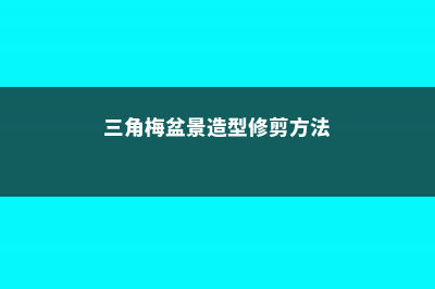 三角梅盆景造型方法，如何修剪 (三角梅盆景造型修剪方法)