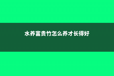 水养富贵竹怎么修剪（修剪方法图解） (水养富贵竹怎么养才长得好)