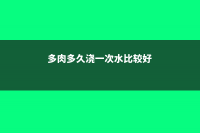 多肉多久浇一次水（浇水频率详解） (多肉多久浇一次水比较好)