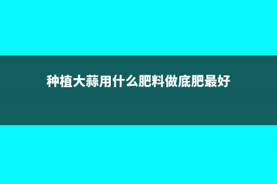 种植大蒜用什么肥料好（大蒜专用肥） (种植大蒜用什么肥料做底肥最好)