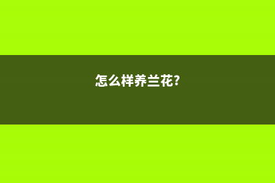 怎么养兰花，兰花为什么不开花 (怎么样养兰花?)