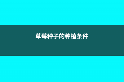 草莓种子的种植方法，草莓种植时间和方法 (草莓种子的种植条件)