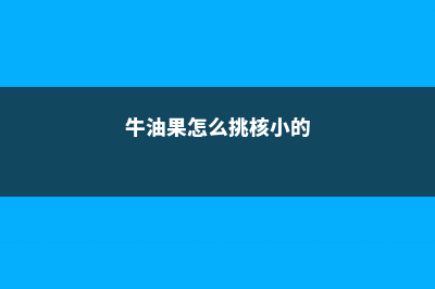 牛油果怎么挑，牛油果怎么切 (牛油果怎么挑核小的)