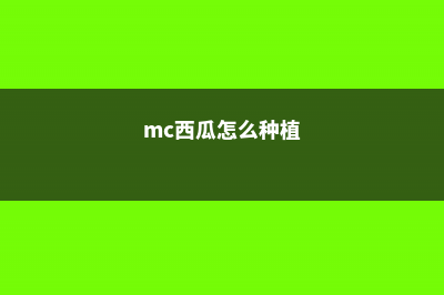 西瓜怎么种植，西瓜的作用 (mc西瓜怎么种植)