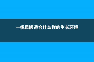 一帆风顺适合深盆还是浅盆，一帆风顺花适合什么盆 (一帆风顺适合什么样的生长环境)