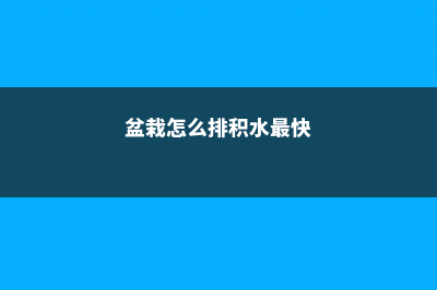 盆栽怎么排积水，怎么看花盆是否积水 (盆栽怎么排积水最快)