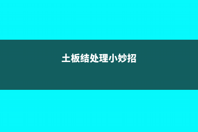 园土板结怎么才能疏松 (土板结处理小妙招)