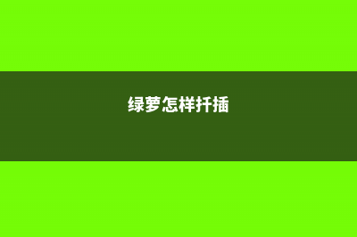 绿萝怎样扦插 (绿萝怎样扦插)