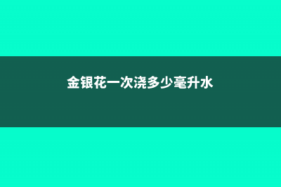 金银花一次浇多少水 (金银花一次浇多少毫升水)