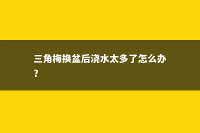 换盆后三角梅浇多少水 (三角梅换盆后浇水太多了怎么办?)