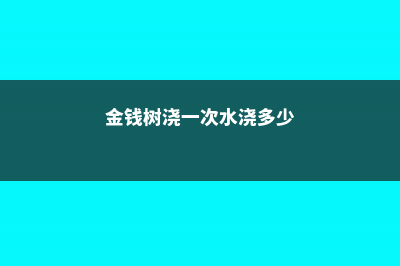 金钱树浇多少水 (金钱树浇一次水浇多少)