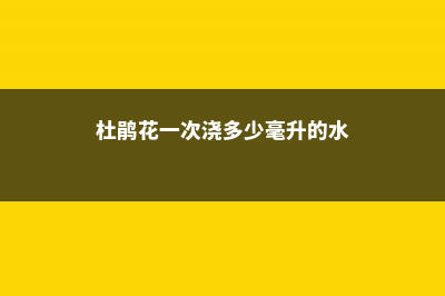 杜鹃花一盆浇多少水 (杜鹃花一次浇多少毫升的水)