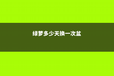 绿萝多少天换一次水 (绿萝多少天换一次盆)