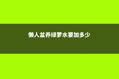 水养绿萝应加多少水 (懒人盆养绿萝水要加多少)