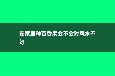 如何在家种植百合花 (在家里种百香果会不会对风水不好)