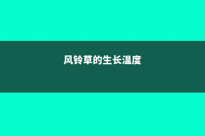 风铃草的光照/土壤/温度/水分/施肥方法 (风铃草的生长温度)