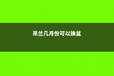 吊兰几月份换盆 (吊兰几月份可以换盆)