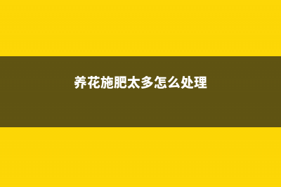 养花施肥太多怎么补救 (养花施肥太多怎么处理)