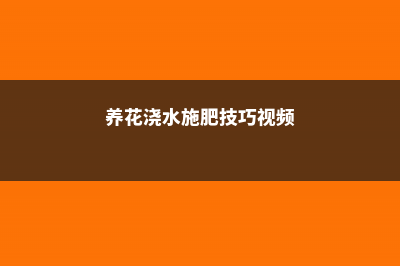 养花浇水施肥技巧 (养花浇水施肥技巧视频)