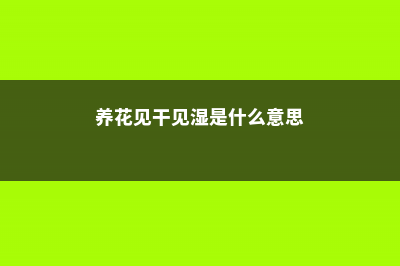 养花见干见湿的判断 (养花见干见湿是什么意思)