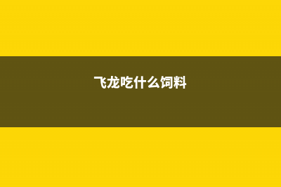 飞龙用什么土 (飞龙吃什么饲料)