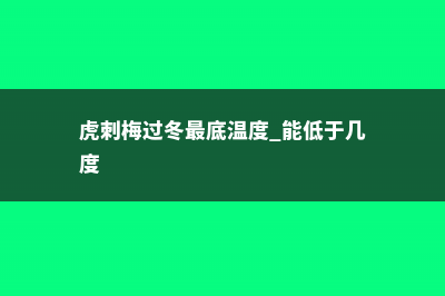 虎刺梅怎么过冬 (虎刺梅过冬最底温度 能低于几度)