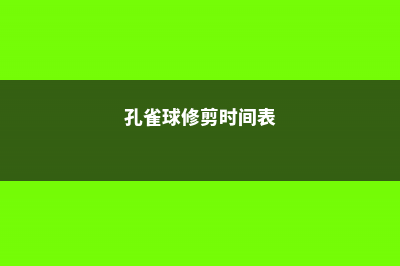 孔雀球修剪时间 (孔雀球修剪时间表)