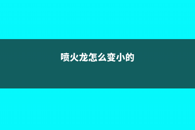 喷火龙怎么换盆 (喷火龙怎么变小的)