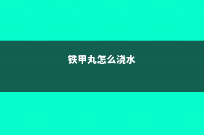 铁甲球怎么过冬 (铁甲丸怎么浇水)