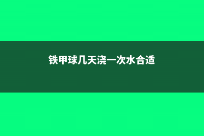 铁甲球几天浇一次 (铁甲球几天浇一次水合适)