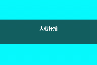 大戟阁锦叶插方法 (大戟扦插)