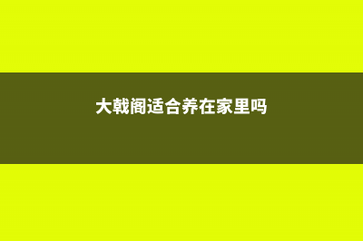 大戟阁锦播种方法 (大戟阁适合养在家里吗)