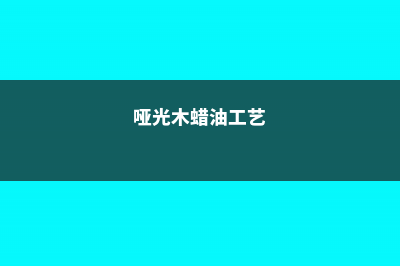 亚蜡木怎么养成老桩 (哑光木蜡油工艺)