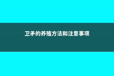 卫矛的养殖方法 (卫矛的养殖方法和注意事项)