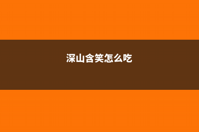 深山含笑怎么养 (深山含笑怎么吃)