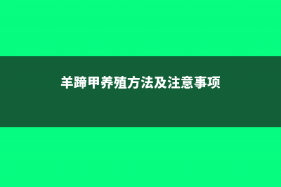 羊蹄甲的养殖方法 (羊蹄甲养殖方法及注意事项)