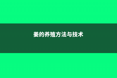 姜的养殖方法 (姜的养殖方法与技术)