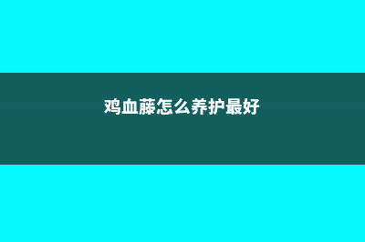 鸡血藤怎么养 (鸡血藤怎么养护最好)