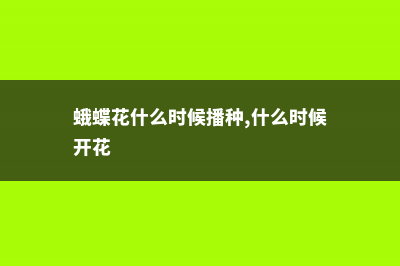 蛾蝶花的养殖方法 (蛾蝶花什么时候播种,什么时候开花)