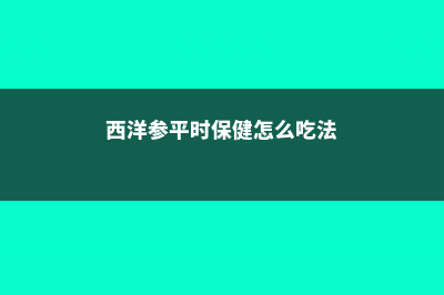 西洋参如何养 (西洋参平时保健怎么吃法)