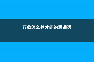 万象的养殖方法 (万象怎么养才能饱满通透)