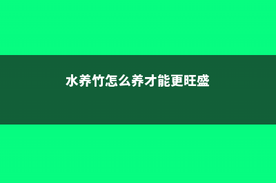 养水竹的方法 (水养竹怎么养才能更旺盛)