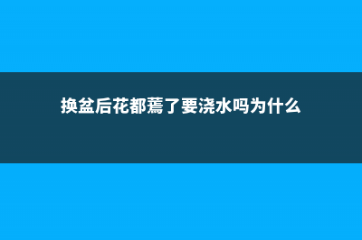 换盆后花都蔫了能活吗 (换盆后花都蔫了要浇水吗为什么)