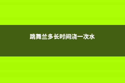 养跳舞兰用什么土 (跳舞兰多长时间浇一次水)