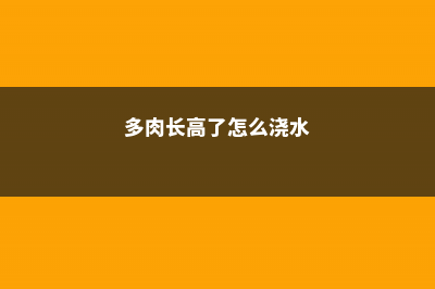 多肉长高了怎么处理方法 (多肉长高了怎么浇水)