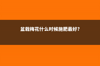 盆栽梅花什么时候换盆 (盆栽梅花什么时候施肥最好?)